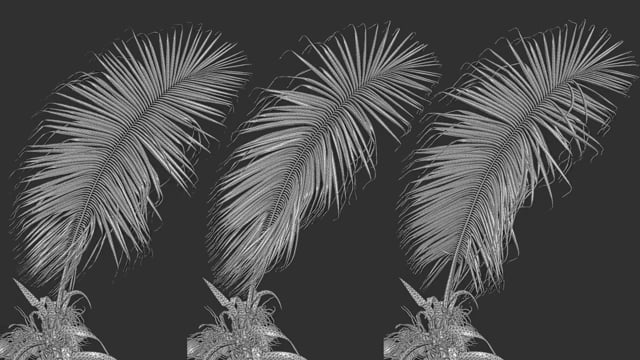 Simulating Plant Life: Wind Mass density (Houdini)