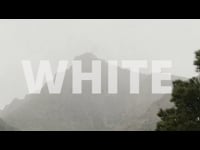 FADE TO WHITE