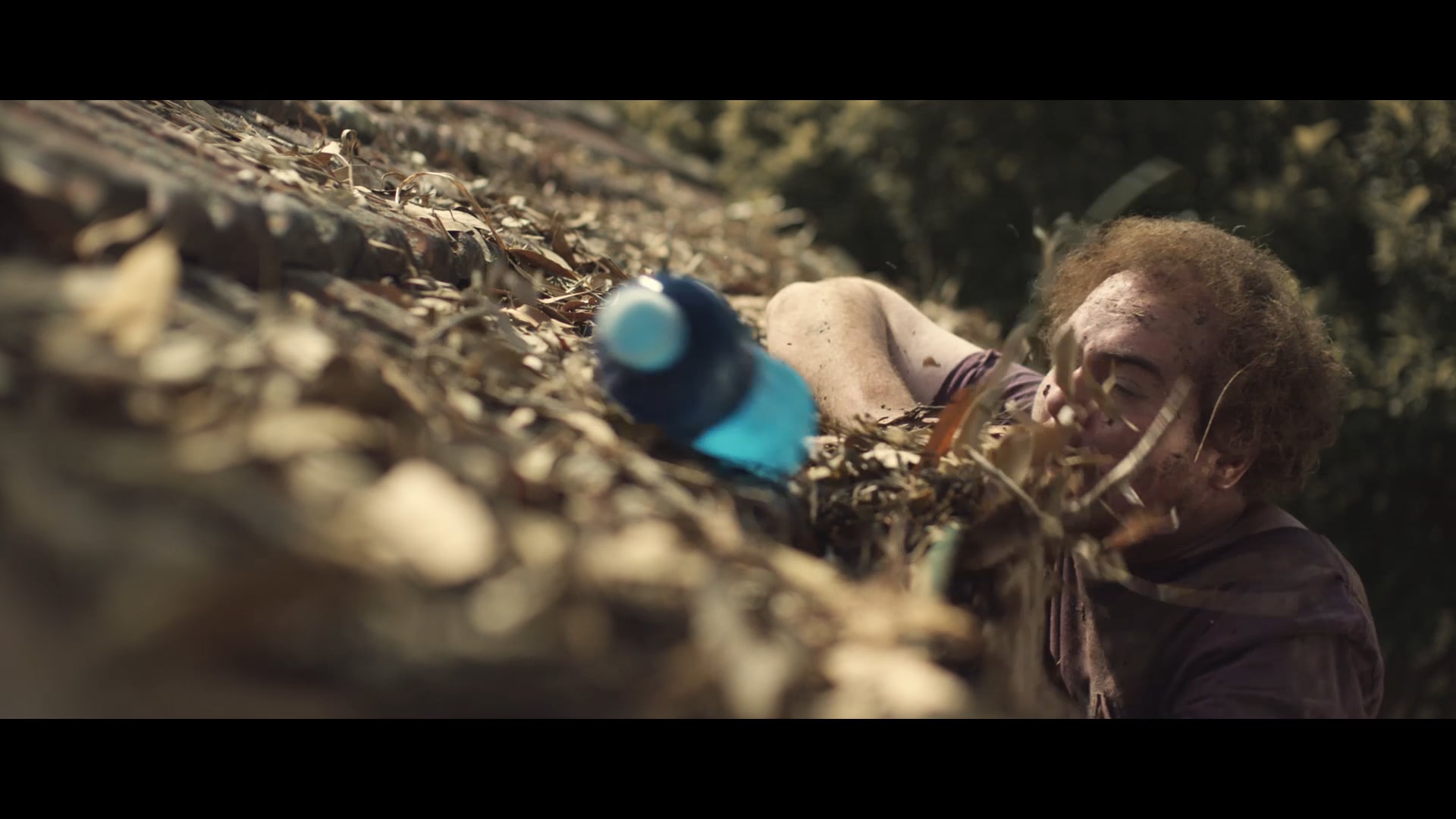 Director: Graeme Burfoot