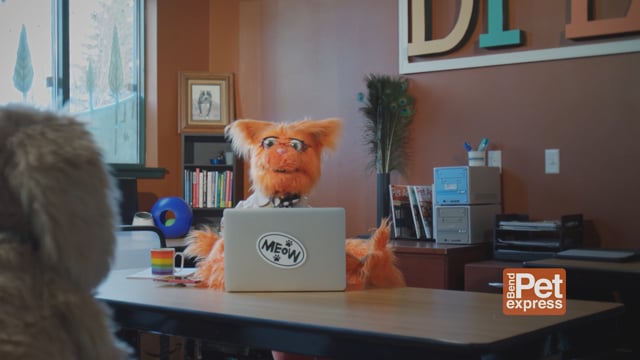 Bend Pet Express - Customer Success Story