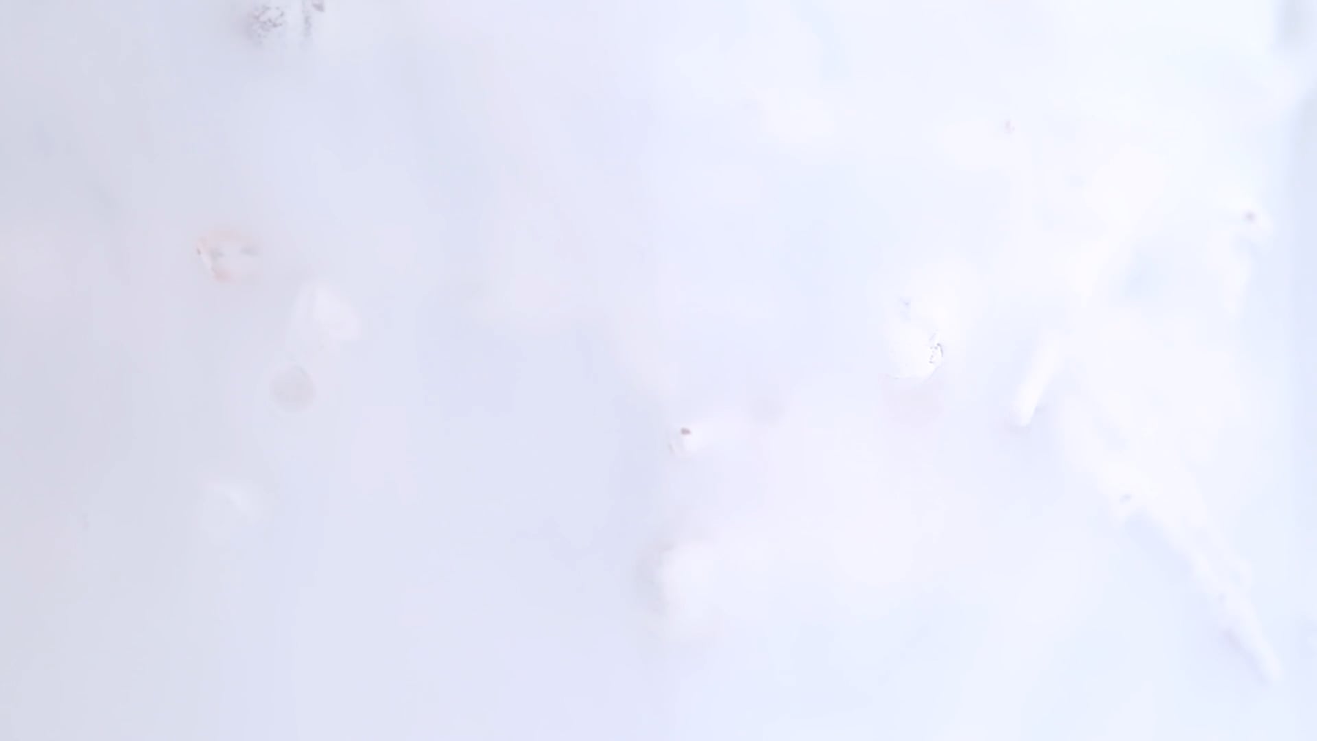 Video Works