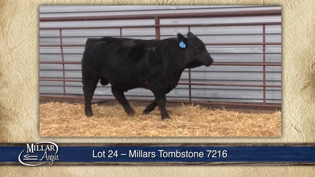 Lot #24 - MILLARS TOMBSTONE 7216