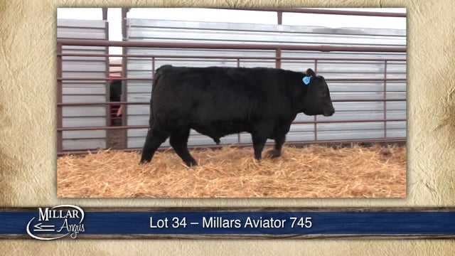 Lot #34 - MILLARS AVIATOR 745