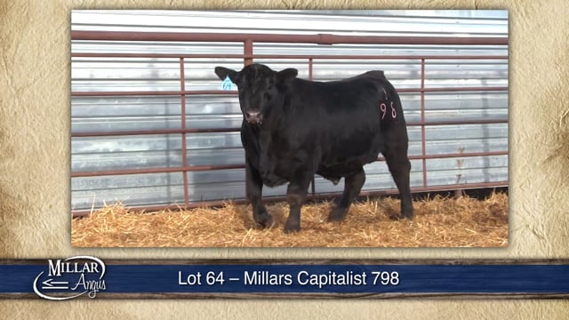 Lot #64 - MILLARS CAPITALIST 798