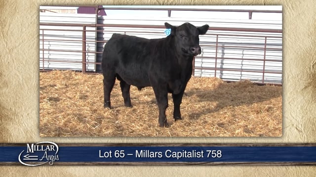 Lot #65 - MILLARS CAPITALIST 758