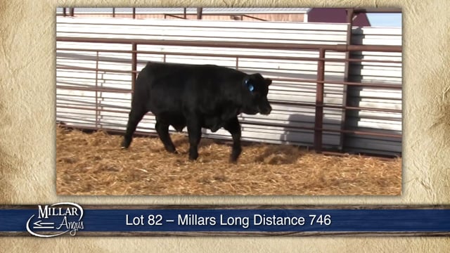 Lot #82 - MILLARS LONG DISTANCE 746