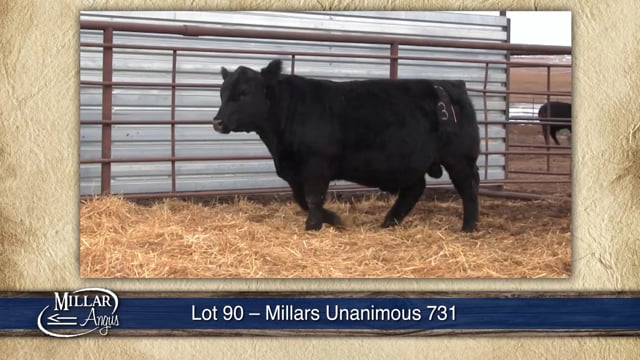 Lot #90 - MILLARS UNANIMOUS 731