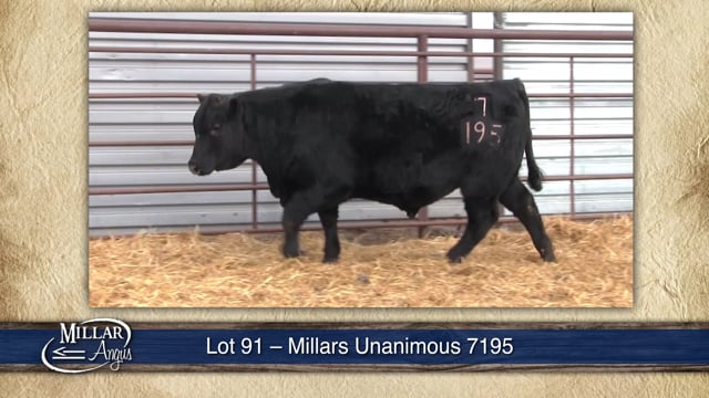 Lot #91 - MILLARS UNANIMOUS 7195