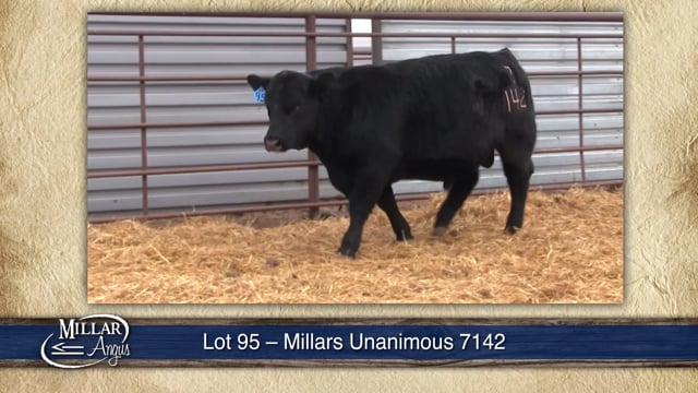 Lot #95 - MILLARS UNANIMOUS 7142