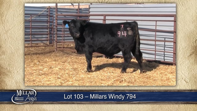 Lot #103 - MILLARS WINDY 794