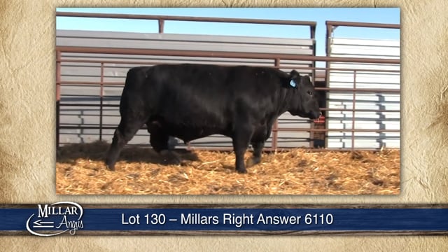 Lot #130 - MILLARS RIGHT ANSWER 6110