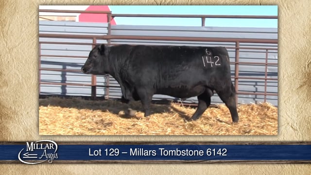 Lot #129 - MILLARS TOMBSTONE 6142