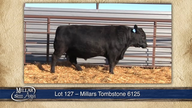Lot #127 - MILLARS TOMBSTONE 6125