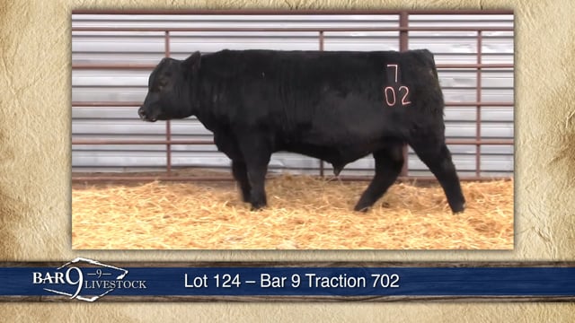 Lot #124 - BAR 9 TRACTION 702