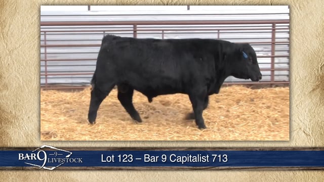 Lot #123 - BAR 9 CAPITALIST 713