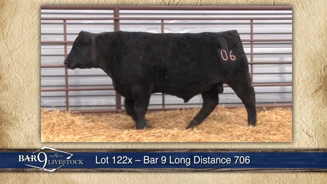 Lot #122 - BAR 9 CAPITALIST 704