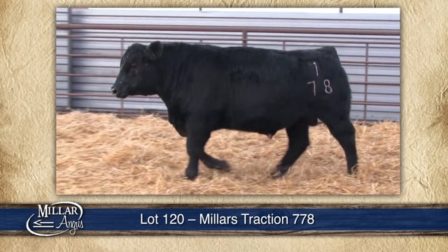 Lot #120 - MILLARS TRACTION 778