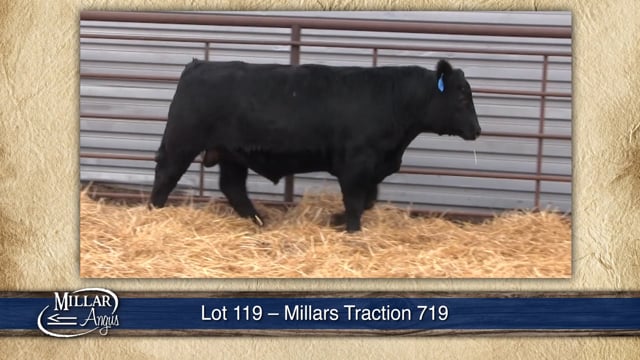 Lot #119 - MILLARS TRACTION 719