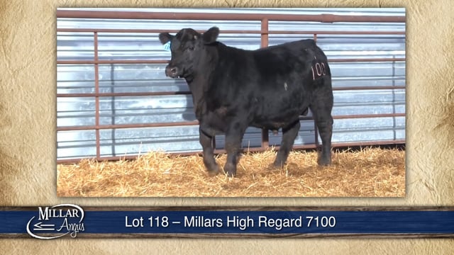 Lot #118 - MILLARS HIGH REGARD 7100