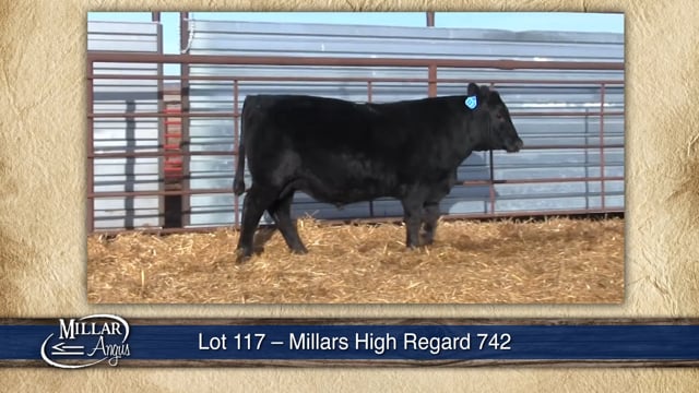 Lot #117 - MILLARS HIGH REGARD 742