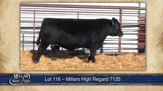 Lot #116 - MILLARS HIGH REGARD 7125