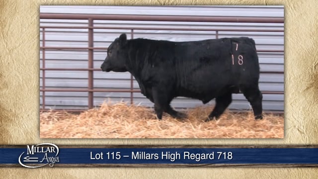 Lot #115 - MILLARS HIGH REGARD 718
