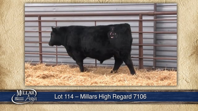 Lot #114 - MILLARS HIGH REGARD 7106