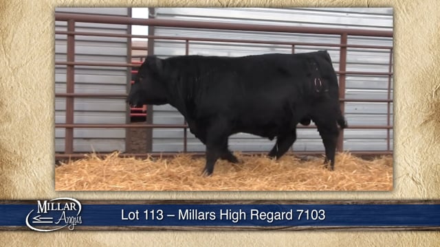 Lot #113 - MILLARS HIGH REGARD 7103