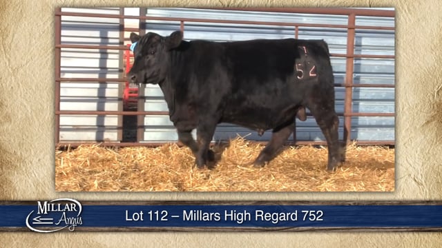 Lot #112 - MILLARS HIGH REGARD 752