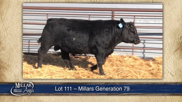 Lot #111 - MILLARS GENERATION 79