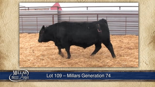 Lot #109 - MILLARS GENERATION 74