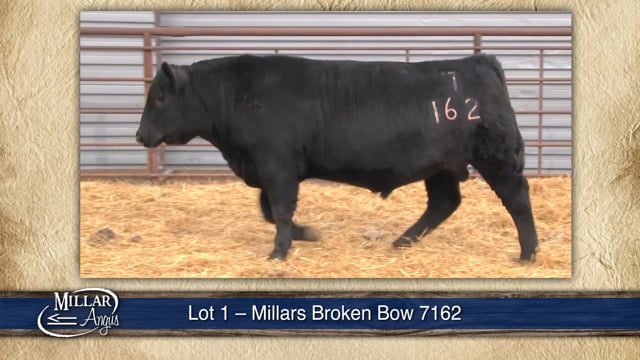 Lot #1 - MILLARS BROKEN BOW 7162