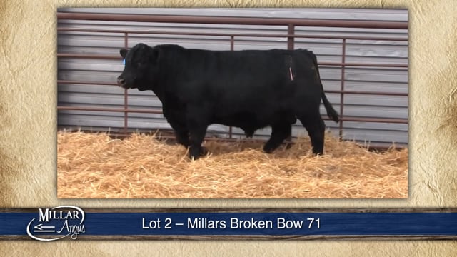 Lot #2 - MILLARS BROKEN BOW 71