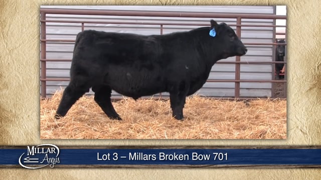 Lot #3 - MILLARS BROKEN BOW 701