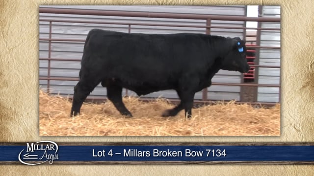 Lot #4 - MILLARS BROKEN BOW 7134