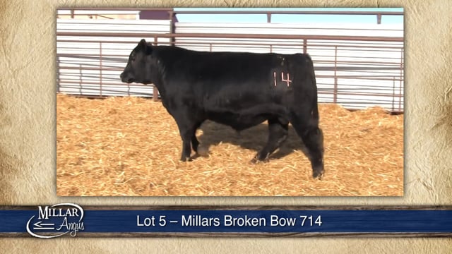 Lot #5 - MILLARS BROKEN BOW 714