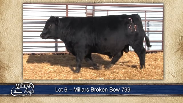 Lot #6 - MILLARS BROKEN BOW 799