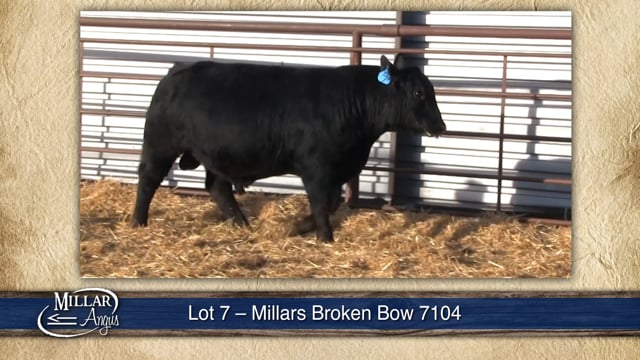 Lot #7 - MILLARS BROKEN BOW 7104