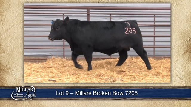 Lot #9 - MILLARS BROKEN BOW 7205
