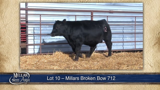 Lot #10 - MILLARS BROKEN BOW 712