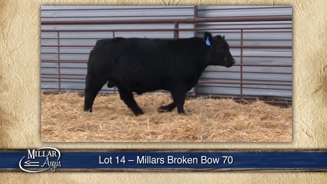 Lot #14 - MILLARS BROKEN BOW 70