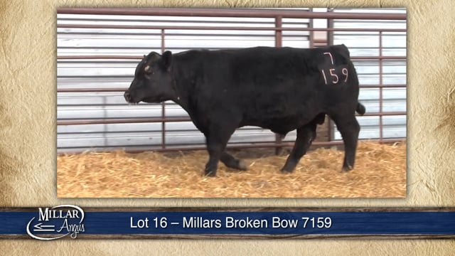 Lot #16 - MILLARS BROKEN BOW 7159