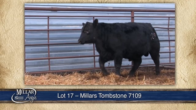 Lot #17 - MILLARS TOMBSTONE 7109