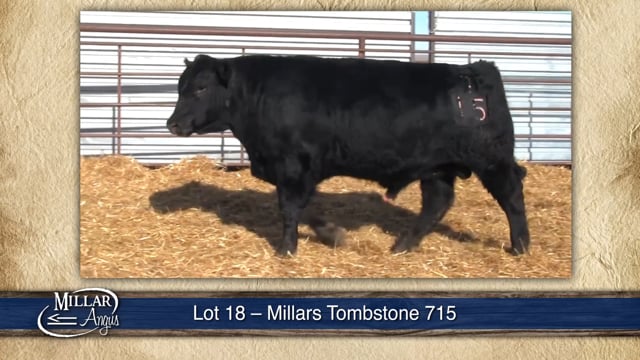 Lot #18 - MILLARS TOMBSTONE 715