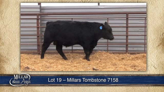 Lot #19 - MILLARS TOMBSTONE 7158