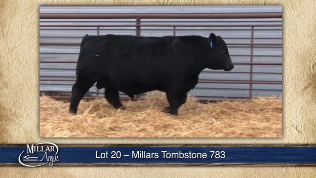 Lot #20 - MILLARS TOMBSTONE 783