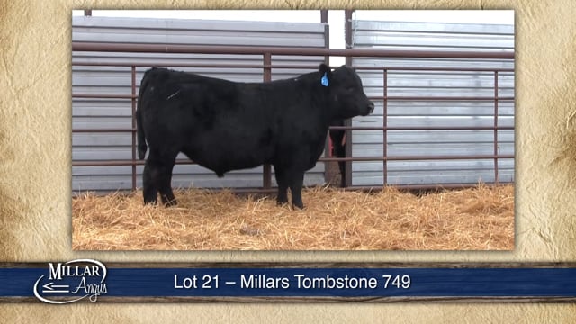 Lot #21 - MILLARS TOMBSTONE 749
