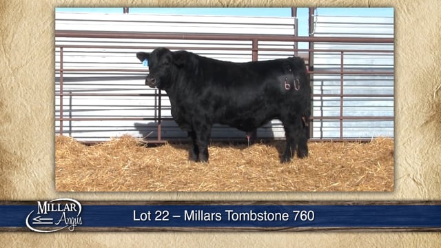 Lot #22 - MILLARS TOMBSTONE 760