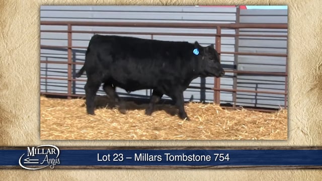 Lot #23 - MILLARS TOMBSTONE 754
