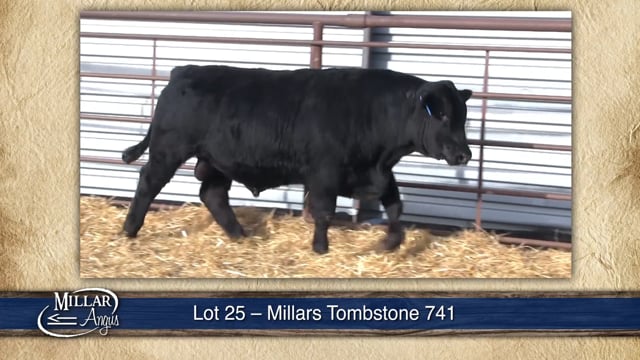 Lot #25 - MILLARS TOMBSTONE 741